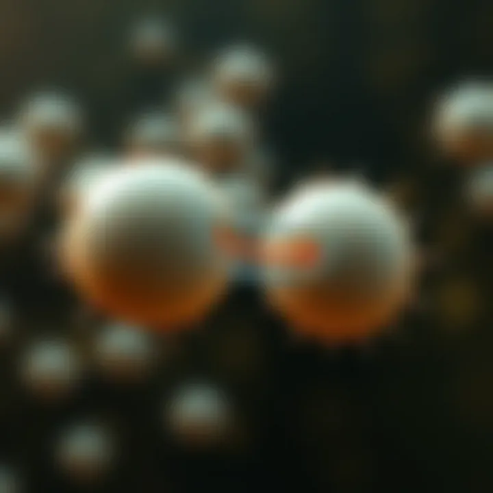 Two newly formed amoeba cells fully separated after completing binary fission