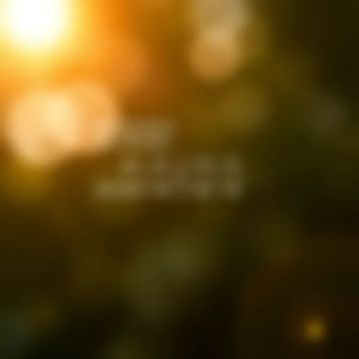 Diagram displaying the handling of special cases in binary division, highlighting remainders and zero divisions