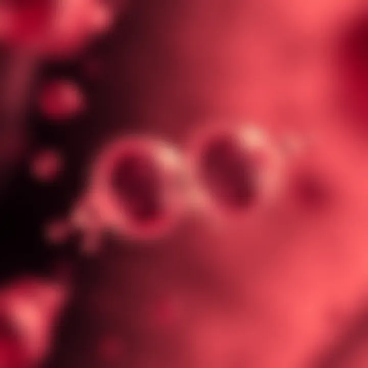 Microscopic view of a single-celled organism dividing into two identical cells